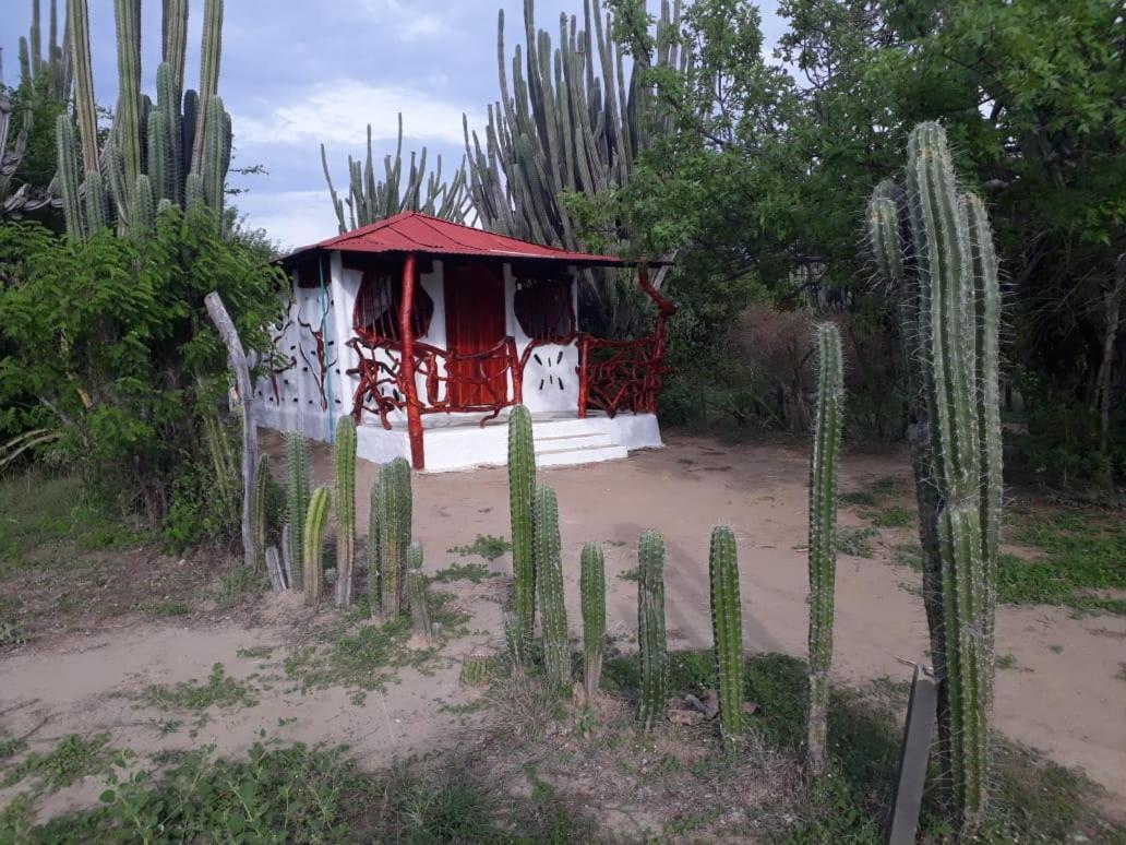 El Peñon De Constantino - Tatacoa * Villavieja