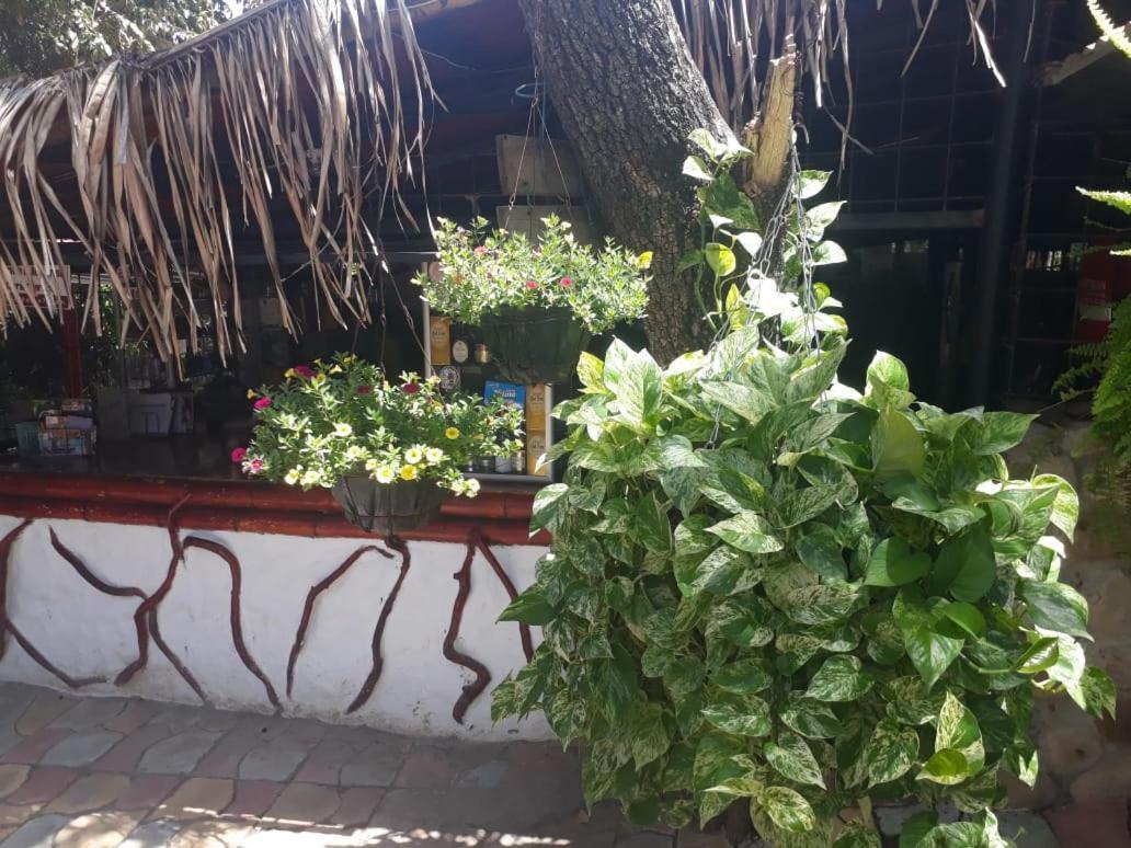 El Peñon De Constantino - Tatacoa Hotel *